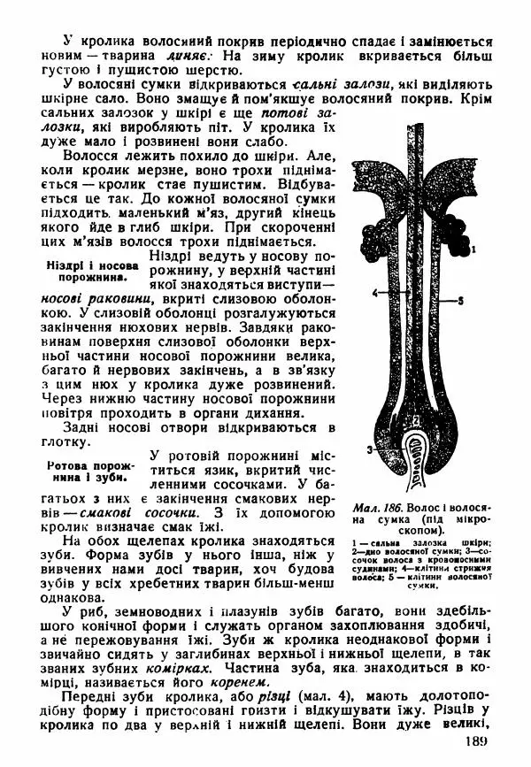 Моисей Цузмер - Зоологія - Страница № 191