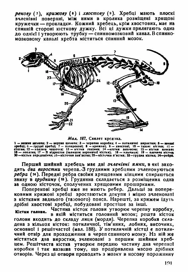 Моисей Цузмер - Зоологія - Страница № 193