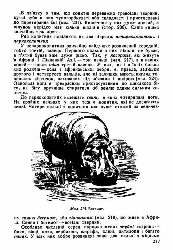 Моисей Цузмер - Зоологія - Страница № 219