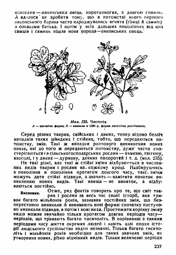 Моисей Цузмер - Зоологія - Страница № 239