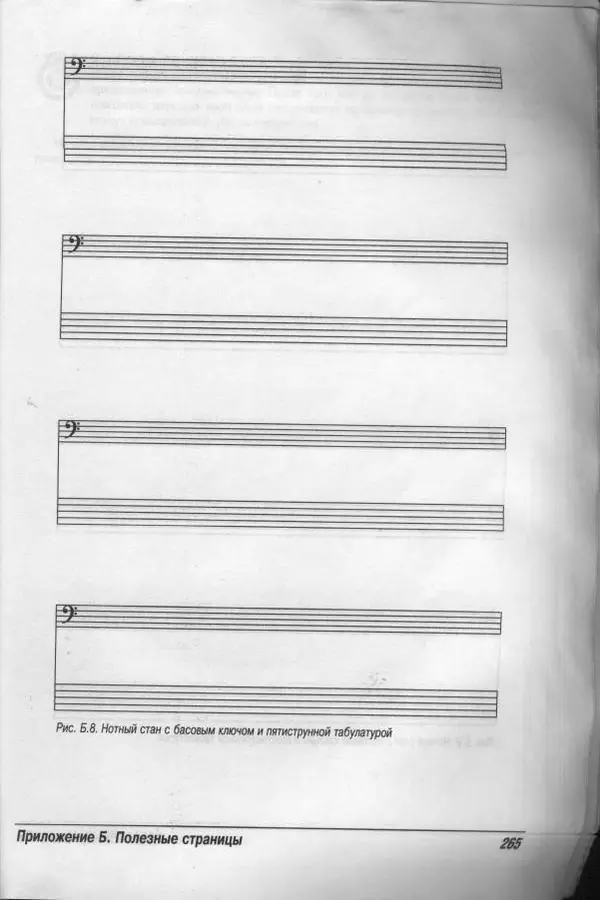 Патрик Пфайффер - Бас-гитара для "чайников" - Страница № 260