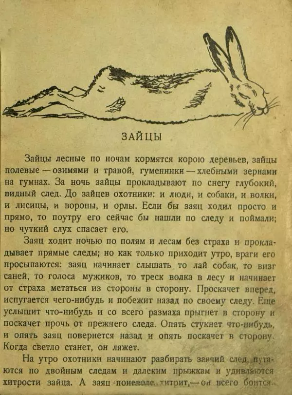 Лев Толстой - Зайка - Страница № 31