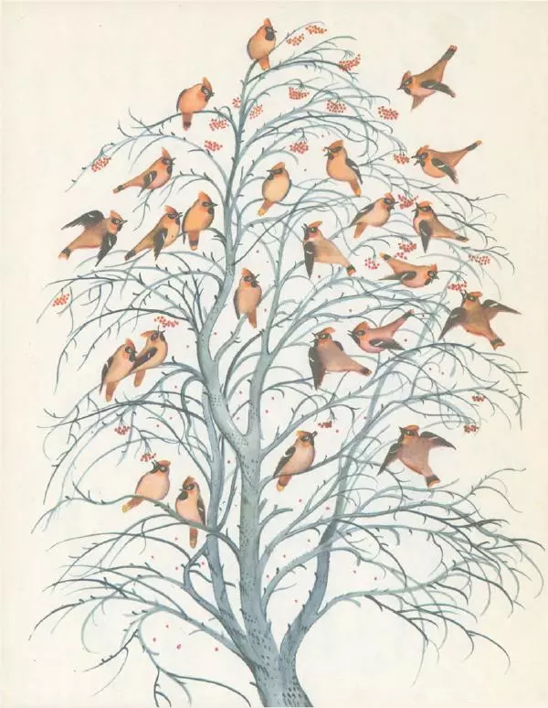 Иван Соколов-Микитов - Март в леесу - Страница № 3