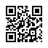 КулЛиб QR: Новик, невольник, казак (fb2)