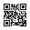 КулЛиб QR: Город Победы (fb2)