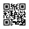 КулЛиб QR: Двенадцать хитростей Ван Ли (fb2)