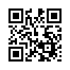 КулЛиб QR: Истинный профессионализм (fb2)