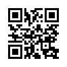 КулЛиб QR: Ваш покорный слуга кот (fb2)