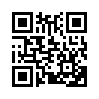 КулЛиб QR: Желтая простыня (fb2)