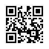 КулЛиб QR: Загадочный незнакомец (fb2)