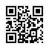 КулЛиб QR: Экспресс-курс дипломатии (fb2)