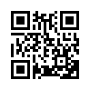 КулЛиб QR: Тринадцатый год жизни (fb2)