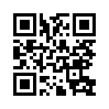 КулЛиб QR: Городецкий Лешек (fb2)