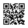 КулЛиб QR: Инженерный Парадокс (fb2)