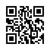 КулЛиб QR: Игра и жизнь М. Бутурлина. Realrpg. (fb2)
