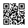 КулЛиб QR: Дневник гауптмана люфтваффе (fb2)