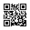 КулЛиб QR: Игра одиннадцати (fb2)