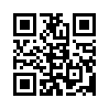 КулЛиб QR: Путь минималиста (fb2)