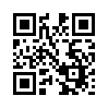 КулЛиб QR: Парчовый барабан (fb2)