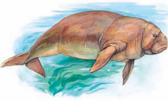 Животные Африки. Сергей Рублев. Иллюстрация 77